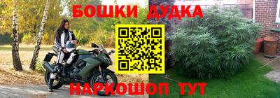 мдпв Янаул