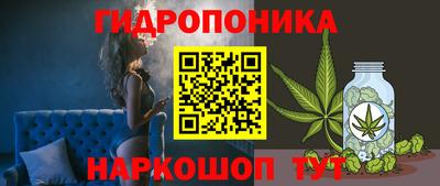 мдпв Янаул