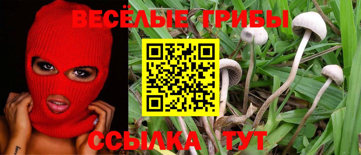 Псилоцибиновые грибы Magic Shrooms  Вход с VPN  Благодарный  Псилоцибиновые грибы прущие грибы 