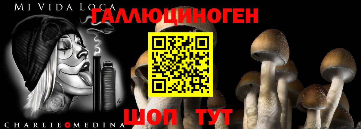 Галлюциногенные грибы прущие грибы Благодарный